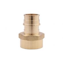 Legend Valve 462-706NL - 1/2'' x 3/4'' No Lead / DZR Brass F 1960 PEX FNPT Reducing Adapter