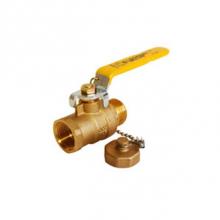 Legend Valve 101-570 - 3/4'' T1002CC Forged Brass Ball Valve with Cap & Chain