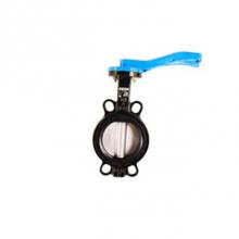 Legend Valve 116-412 - 2-1/2'' T-335SS Ductile Iron Wafer Butterfly Valve, Stainless Steel Disc, 10 Position Le