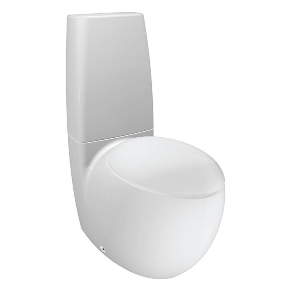 Floorstanding 2PC Water Closet Bowl, washdown