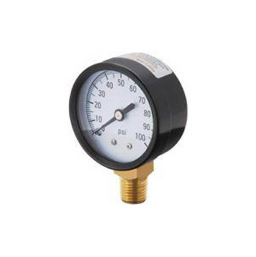 1/4'' X 2'' DIA,100PSI PRESSURE GUAGE