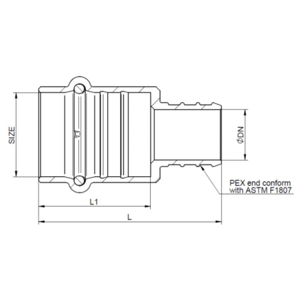 1/2'' Press X 1/2'' Lead Free Pex F1807 Adapter