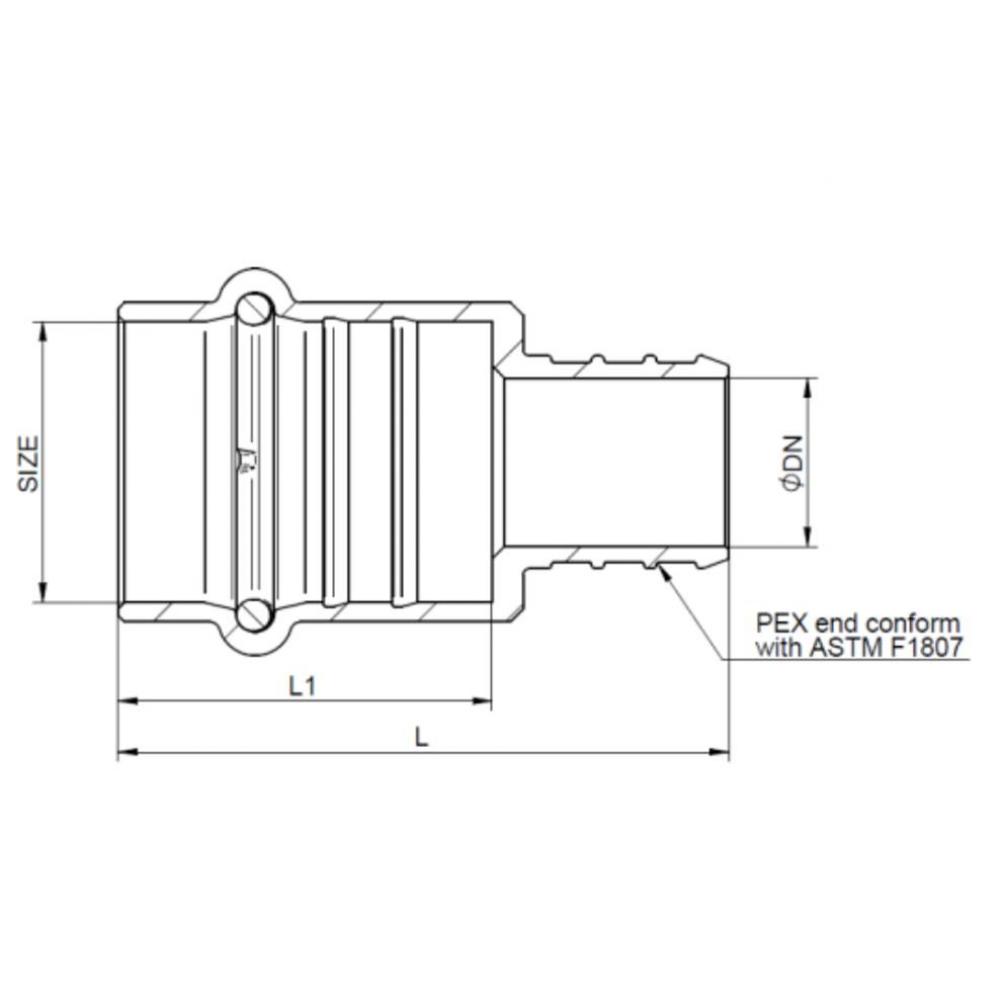 3/4'' Press X 3/4'' Lead Free Pex F1960 Adapter