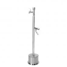 Outdoor Shower FSFSDF-054-ADA - Free Standing Single Supply ADA Metered Drinking Fountain and Foot Shower