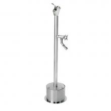 Outdoor Shower FSFSDF-054-CHV-PB - Free Standing Single Supply Push Button Drinking Fountain, Cross Handle Foot Shower