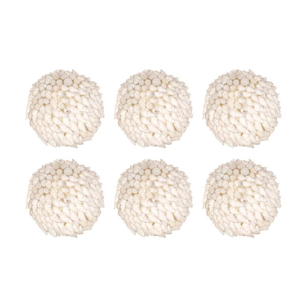 Hermit Shell Set of 6 Spheres -