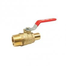 Red-White Valve 670779711683 - AB PEX F1807 X MNPT BALL VLV