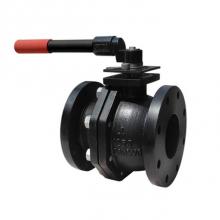 Red-White Valve 670779700618 - 2 IN 200#WOG,  Cast Iron Body,  Full Port,  PTFE Coated Ball