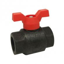 Red-White Valve 670779571072 - POLY BALL VALVE THD END