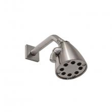 Sonoma Forge ST-10-105 - 8-Plunger Shower Head  With 1/2'' X 8'' Arm And Square Wall Flange 3-1/2'