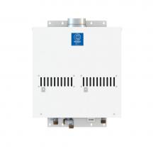 State Industries GTS-910-NIEA - Tankless Non-Condensing