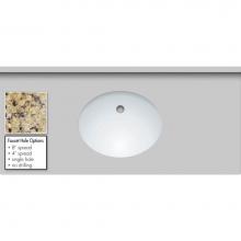 Strasser Woodenwork 67.500.0 - 49 X 22 X 1.25 Countertop Granite New Ven Gold Oval White