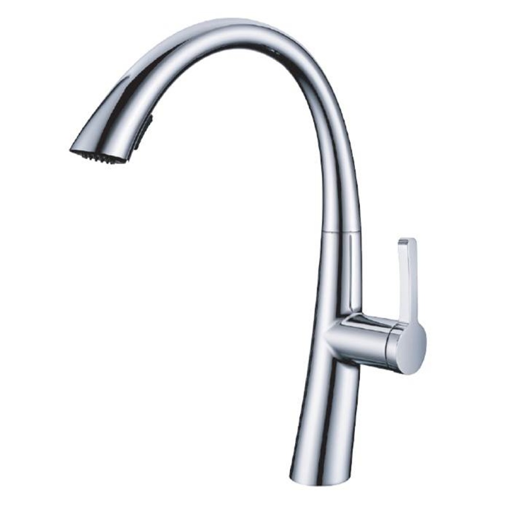 61.595.100 Plumbing Kitchen Faucets