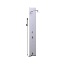 Valley Acrylic 889001 - Tempered Glass Shower Panel