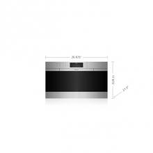 Wolf CSO30CM/S - 30 M Series Contemporary Stainless Steel Convection Steam Oven with Retractable Handle