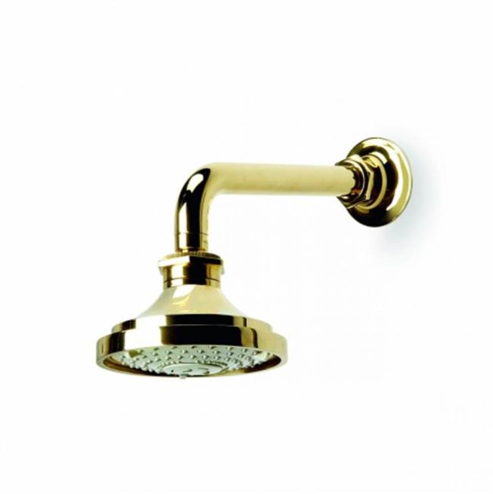 Henry 5 1/8''  Shower Head, Arm and Flange with Adjustable Spray in Antique