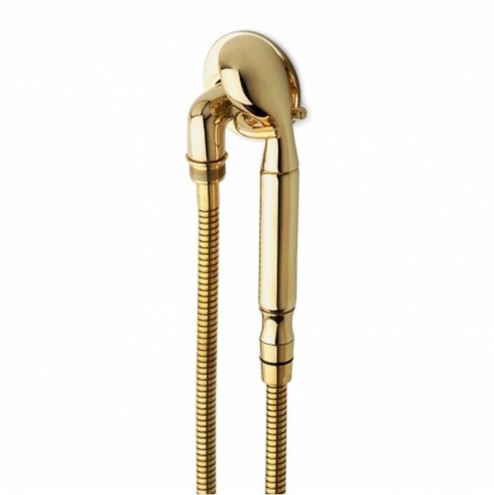 Henry Handshower On Hook with Metal Handle in Unlacquered