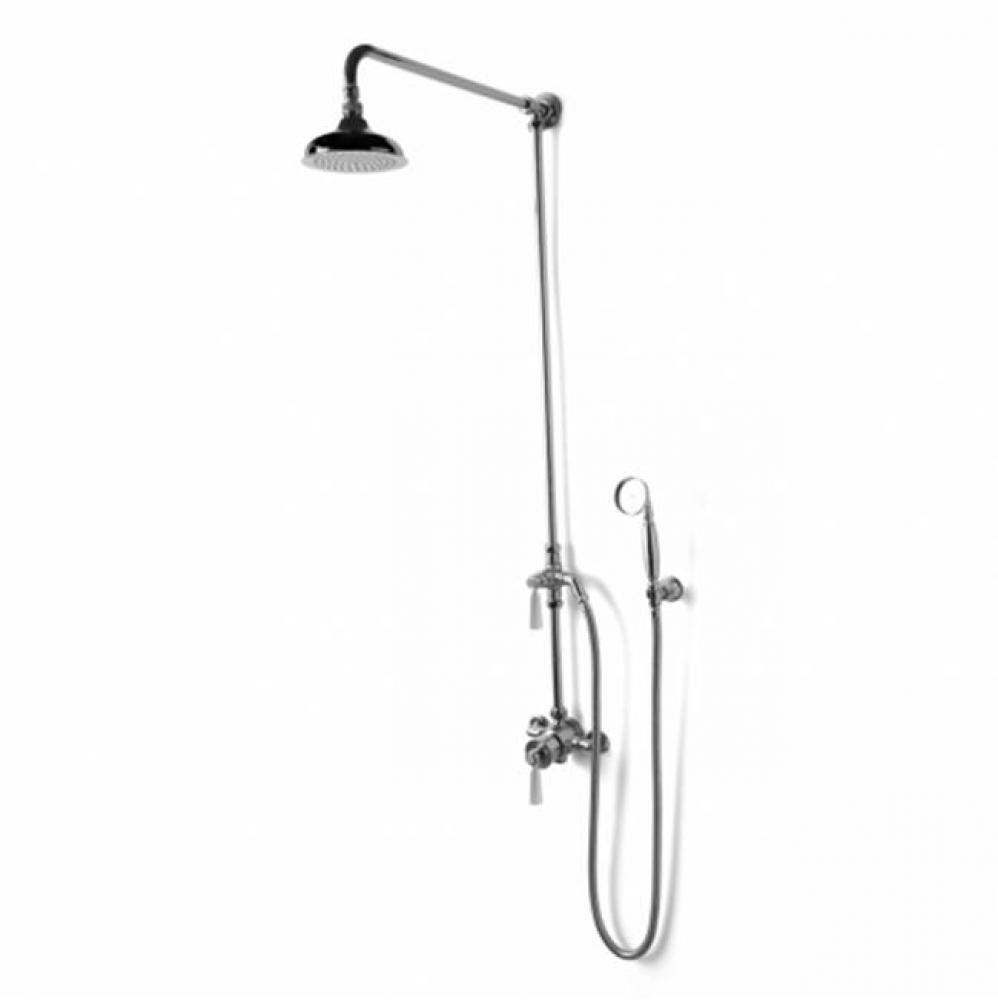 Roadster Handshower with Diverter and Metal Handle in