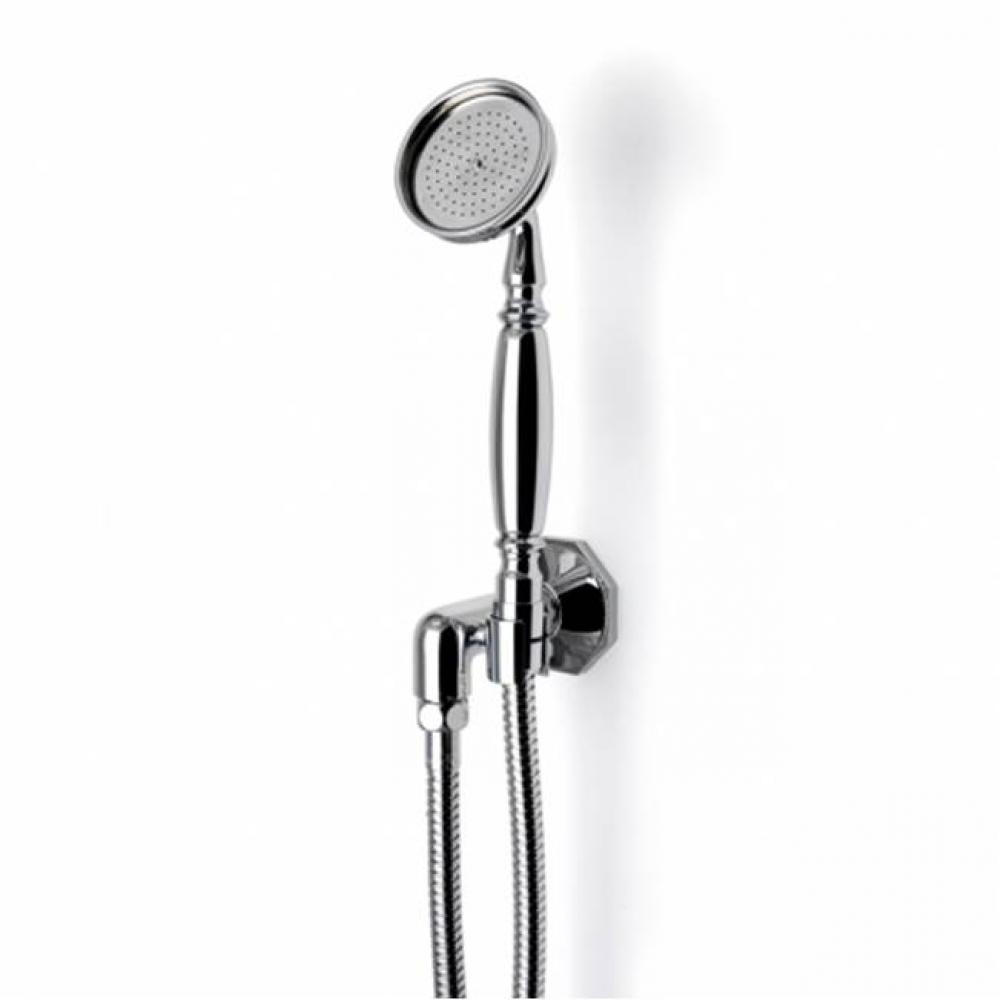 Roadster Handshower On Hook with Metal Handle in Unlacquered