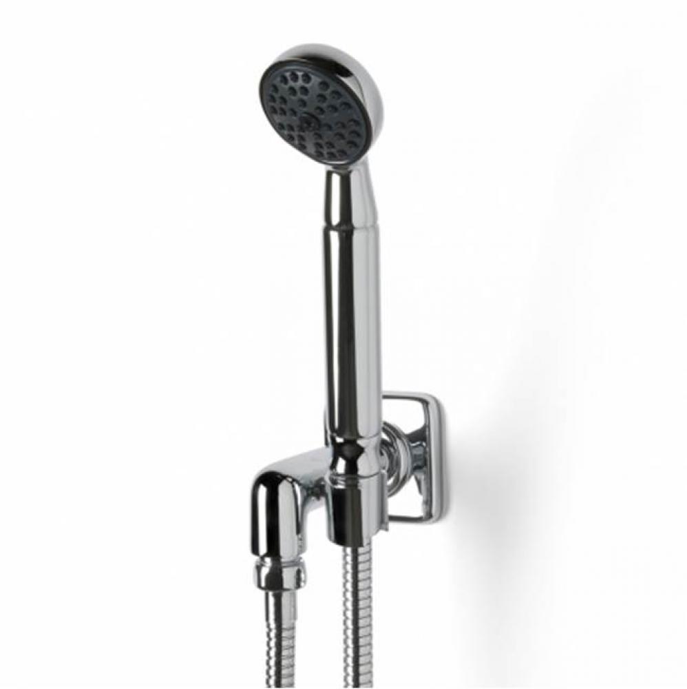 Ludlow Handshower On Hook with Metal Handle in Unlacquered