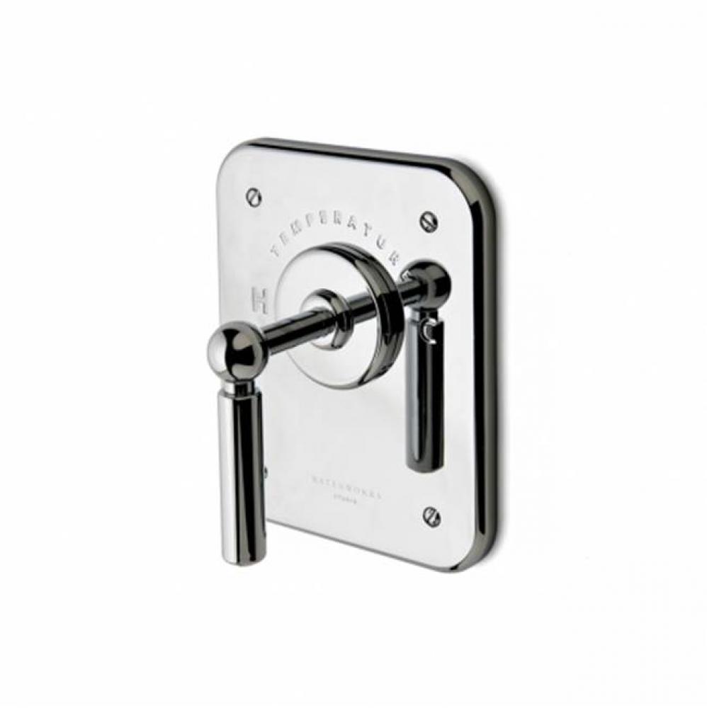 Ludlow Thermostatic Control Valve Trim with Metal Lever Handle in