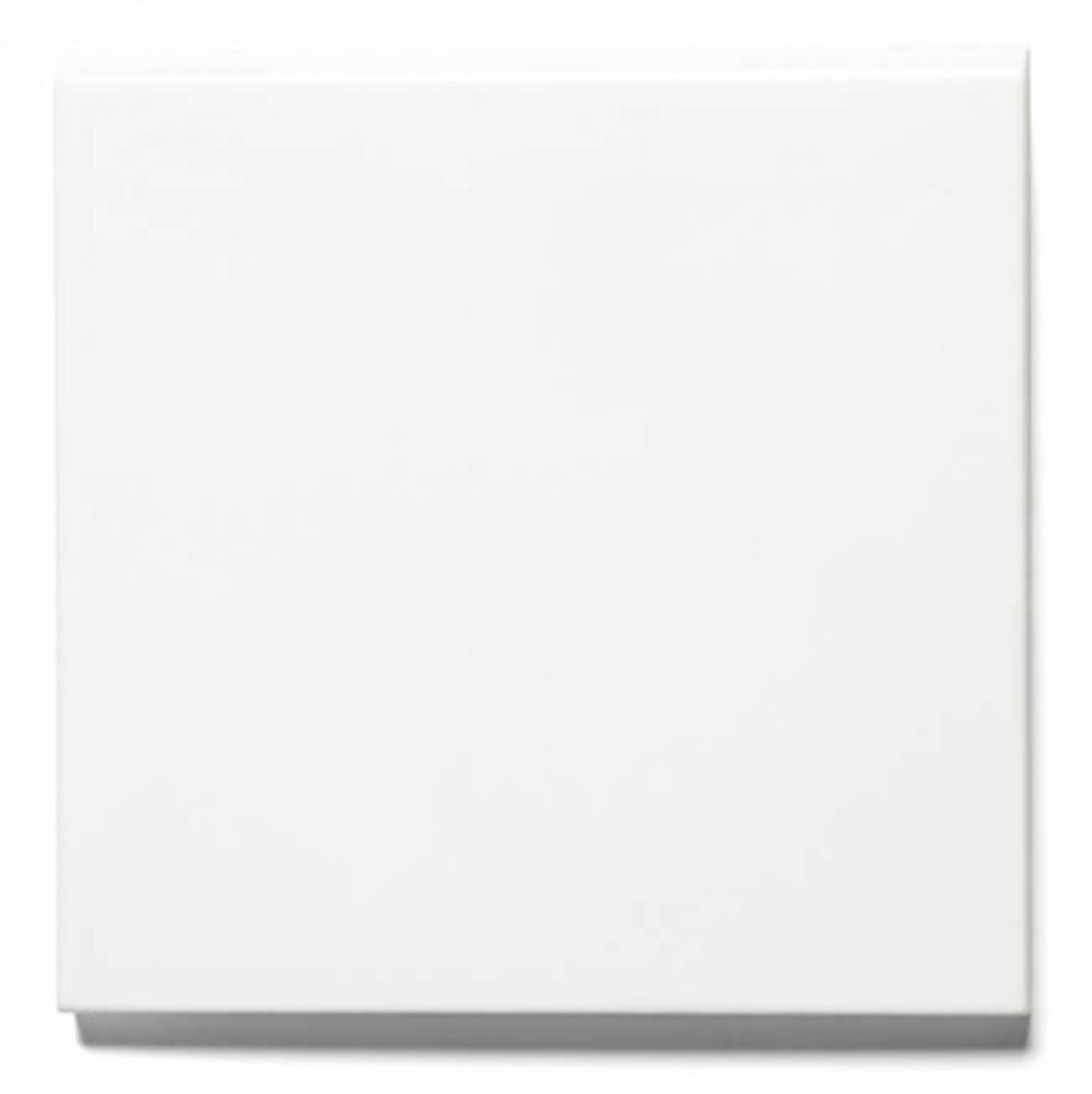 Claypaper Field Tile 6 x 6 Bullnose Single in Egret