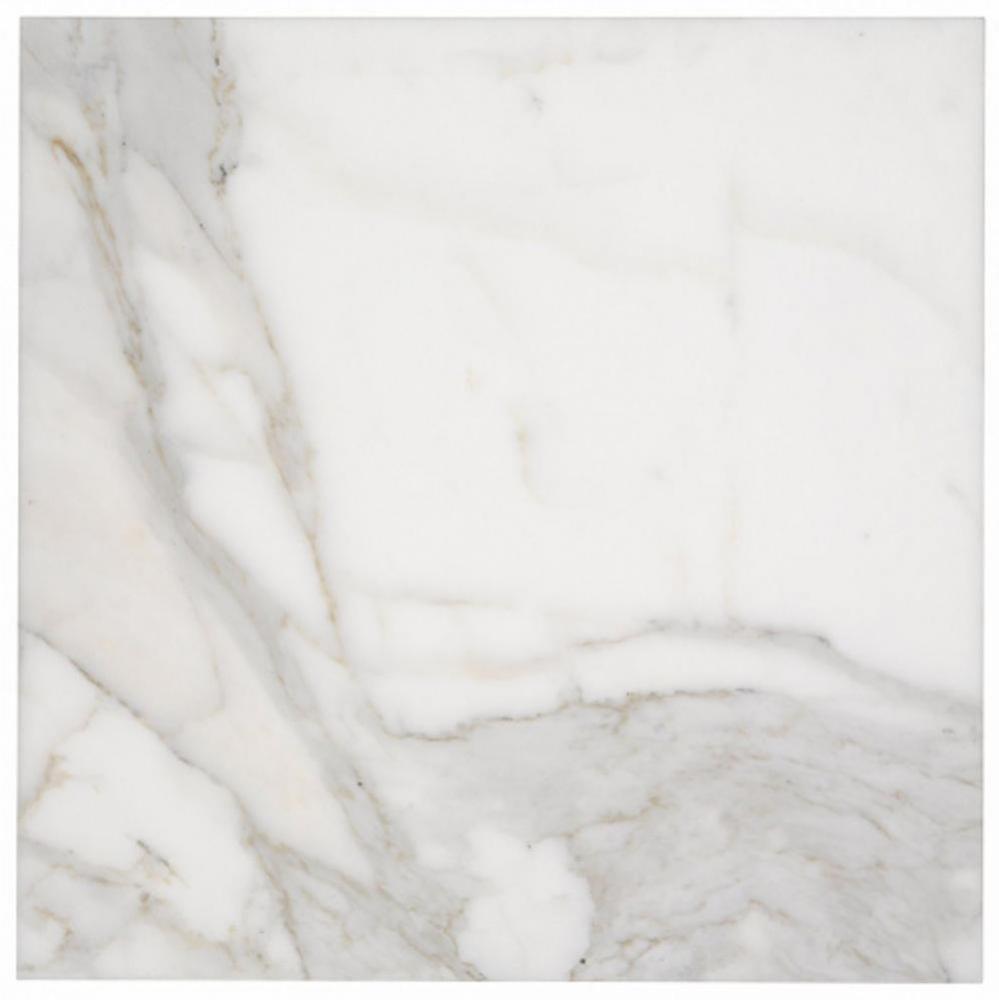 Keystone Field Tile 18 x 18 x 3/8 in Calacatta Honed