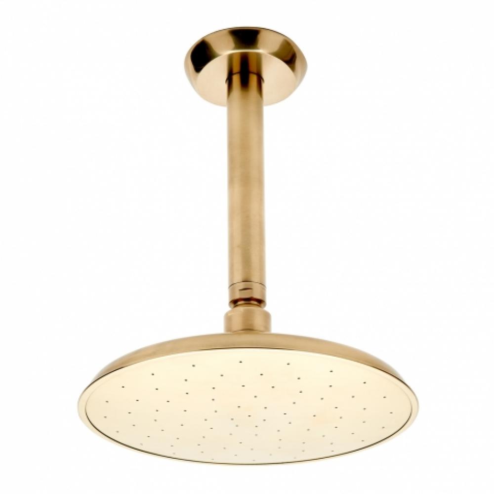 Isla Ceiling Mounted Shower Head, Arm and Flange in