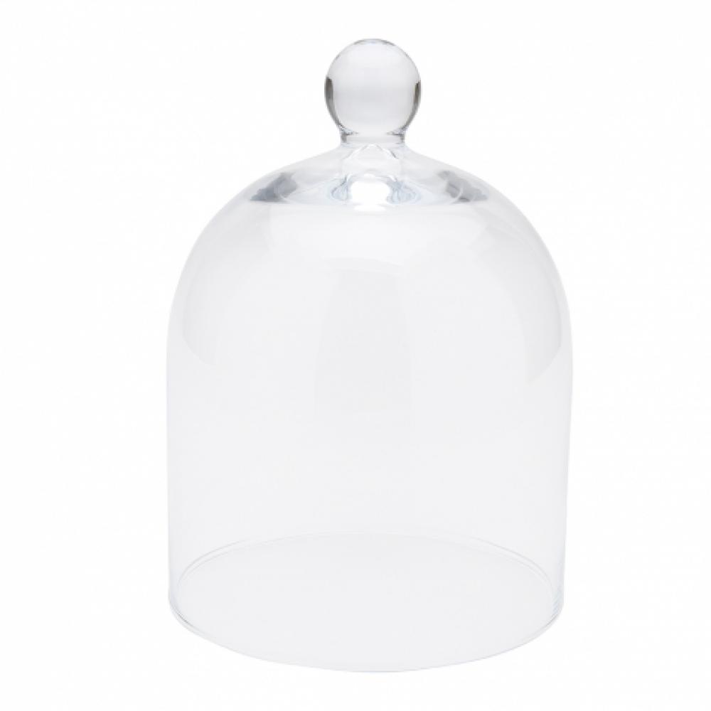 Waterworks Apothecary Large Glass Cloche in