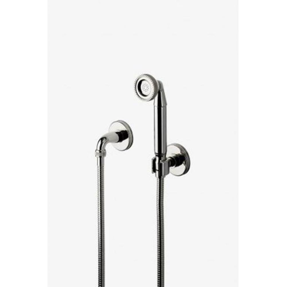 Boulevard Handshower On Hook with Metal