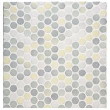Waterworks 02-13094-43877 - Penny Tile 1'' Penny