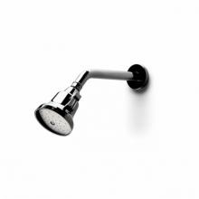 Waterworks 05-41533-45596 - Boulevard 3 1/2 Shower Head, Arm and Flange with Adjustable Spray in Unlacquered Brass, 2.5gpm