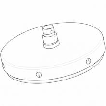 Waterworks 40-69208-15716 - Service Parts Showerhead in