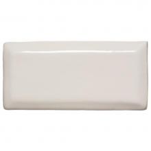 Waterworks 02-77917-54053 - Archive Field Tile 2 x 4 1/4 Beveled in Clear Glossy Crackle