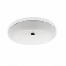 Waterworks 11-06885-42091 - Clara Undermount Oval Vitreous China Single Glazed Lavatory Sink 19 11/16'' x 16