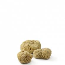 Waterworks 37-25927-17978 - Waterworks Personal Care Sponge Trio (Set of