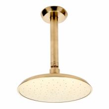 Waterworks 05-28217-43886 - Isla Ceiling Mounted Shower Head, Arm and Flange in
