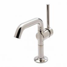 Waterworks 07-20921-48033 - .25 One Hole High Profile Bar Faucet, Metal Lever Handle in Burnished Brass,