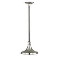 Waterworks 18-66545-00084 - Percy Ceiling Mounted Single Pendant with Metal Shade in Nickel with Old