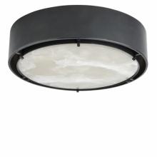 Waterworks 18-55944-47028 - Martine Ceiling Flush Mount with Onyx Diffuser in Old