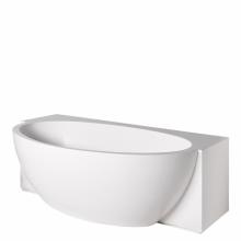 Waterworks 13-32668-61055 - Formwork 72'' x 41 3/8'' x 24'' Lithic Freestanding or Alcove Oval