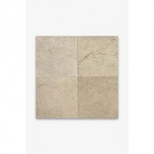 Waterworks 03-07476-00577 - Keystone Decorative Field Tile Antiqued with Clean Edge 16 x 16 x 3/4 in Biscuit