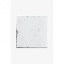 Waterworks 02-58913-11845 - Grove Twenty Field Tile 3 5/8 x 3 5/8 Single Edge Glazed in Brunet Glossy
