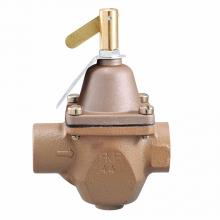 Watts Water 0386425 - Feed Water Pressure Regulator