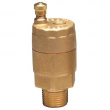 Watts Water 0590722 - Automatic Vent Valve