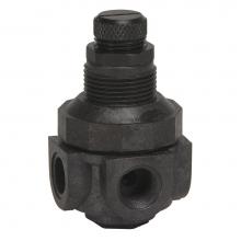 Watts Water 0354555 - Miniature Pressure Regulator