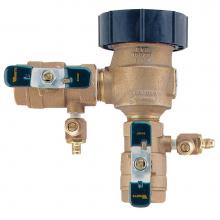 Watts Water 0388002 - Pressure Vacuum Breaker