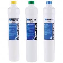 Watts Water 7100119 - Annual Filter Pack