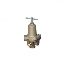 Watts Water 0125345 - Water Pressure Regulator