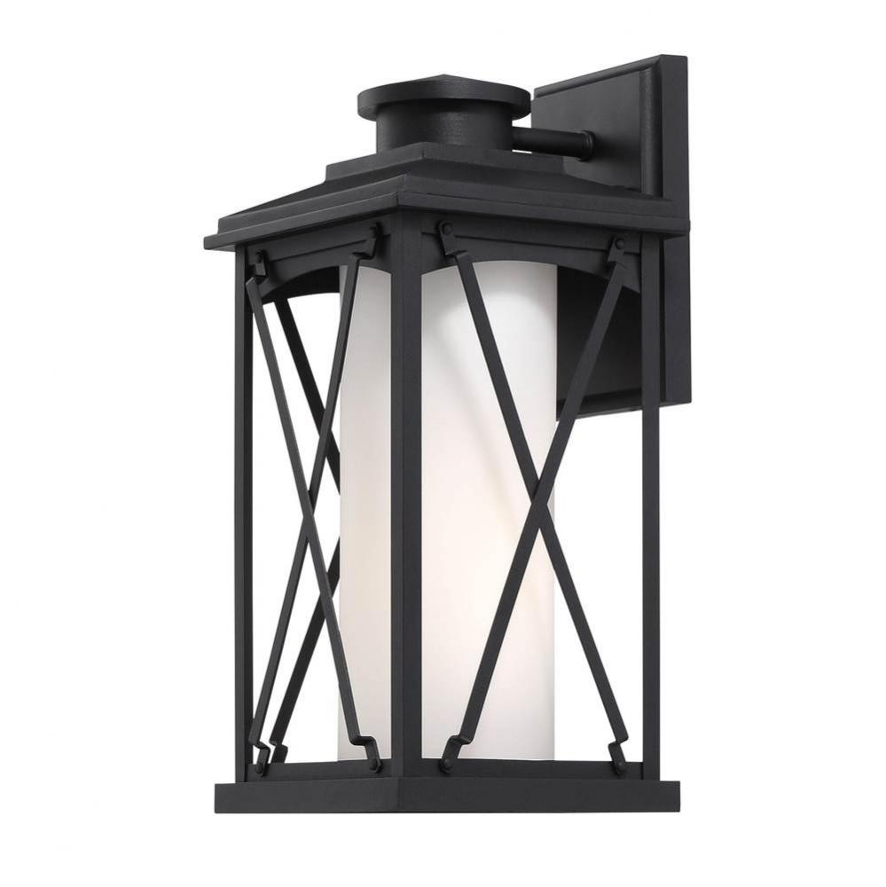 1 Light Outdoor Medium Wall Mount